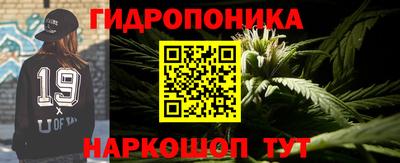 ГАЛЛЮЦИНОГЕННЫЕ ГРИБЫ Будённовск