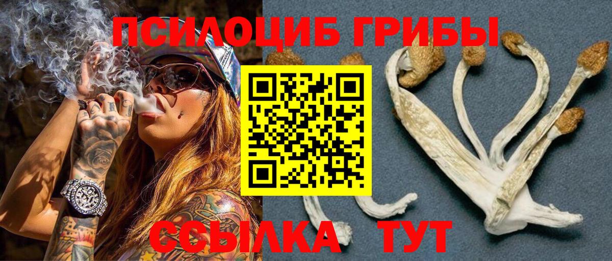 Галлюциногенные грибы Magic Shrooms Татарск